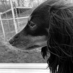 Meet your Posher, Emma